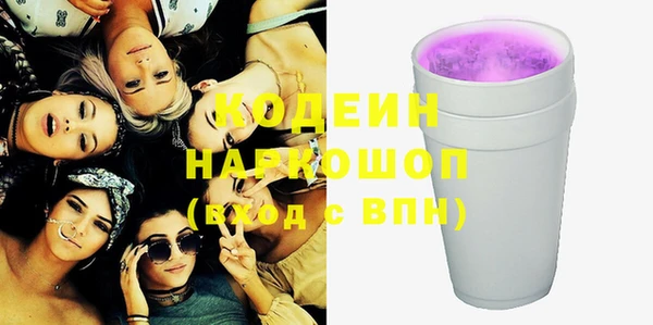 сатива Арсеньев