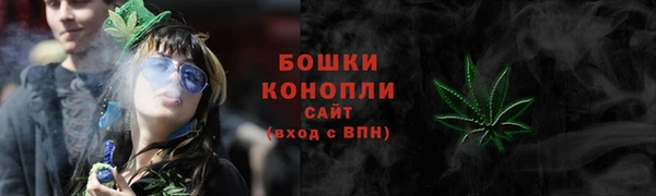 ешки Аркадак