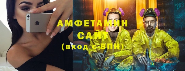 сатива Арсеньев