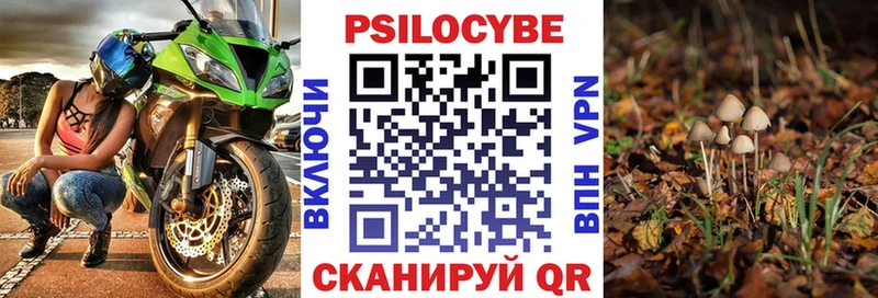 купить наркотик  Озёры  Галлюциногенные грибы Psilocybe 